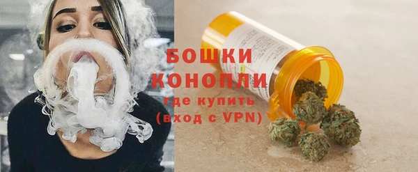 шишки Богородск