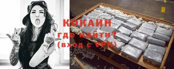 шишки Богородицк