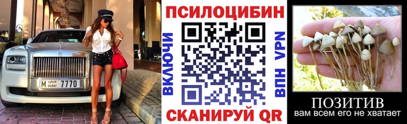 Купить  Славск  Псилоцибиновые грибы прущие грибы 